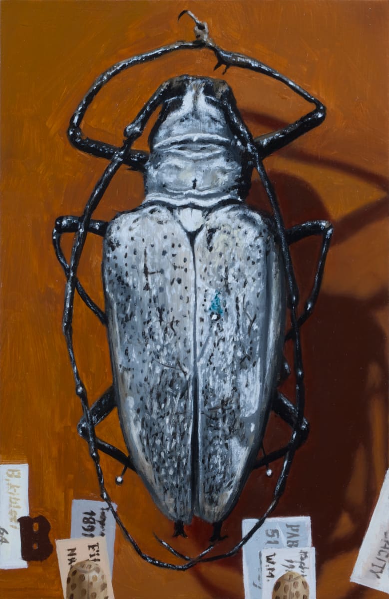 BATOCERA kibleri by Paul Beckingham 