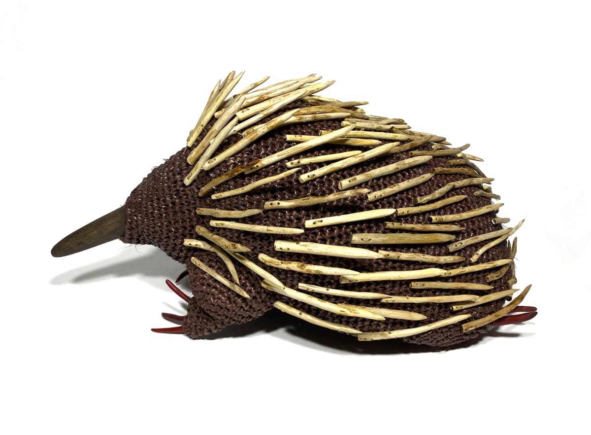echidna figures