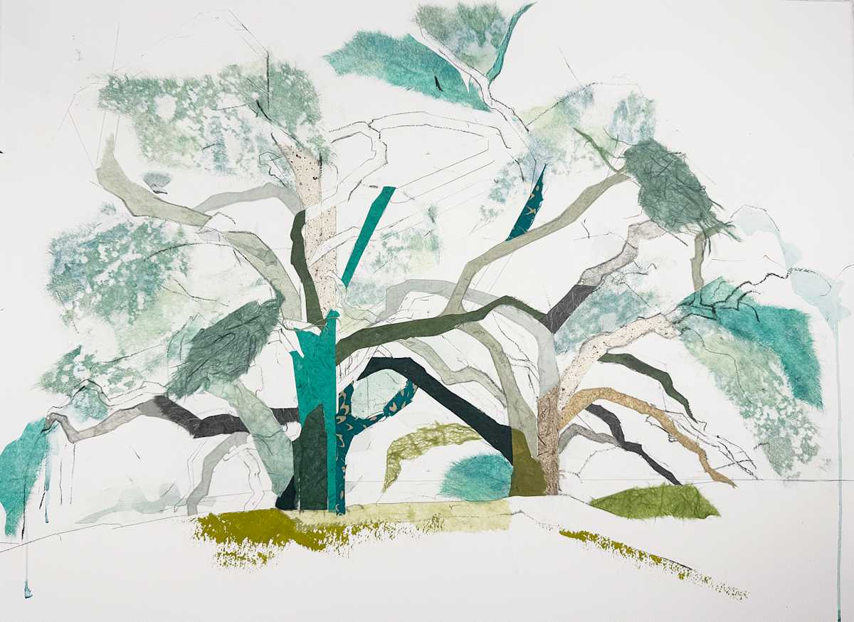 Canopy I (Danville Oak) by Jill Lear, Image 1.