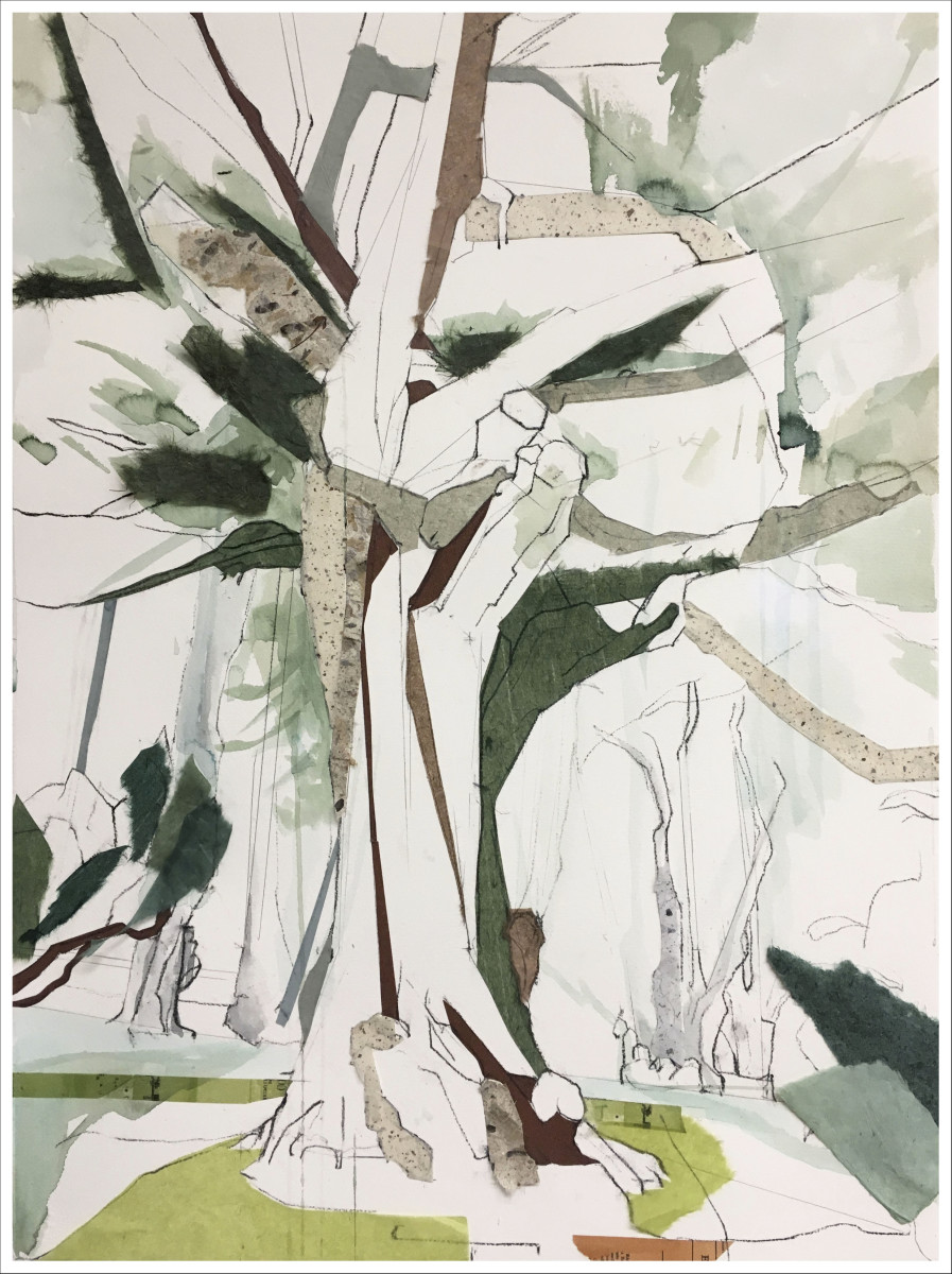 Carmel Eucalyptus II (The Embrace) (Framed) by Jill Lear 