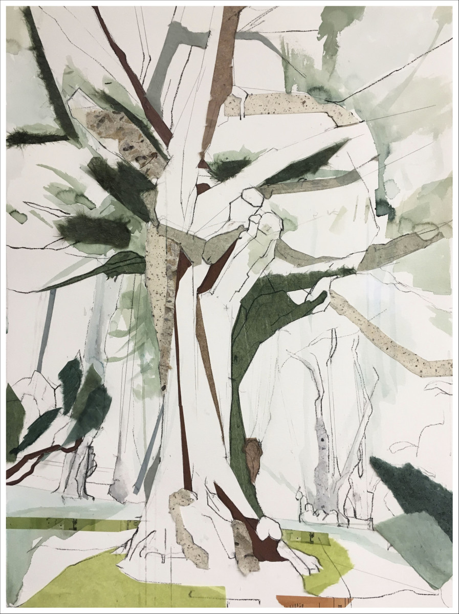 Carmel Eucalyptus II (The Embrace) (Framed) by Jill Lear, Image 1.