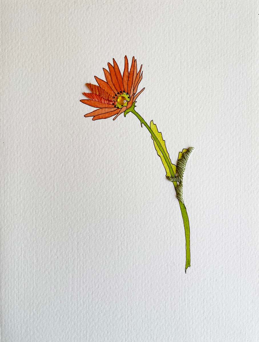 Daisy Orange IV, Image 1.