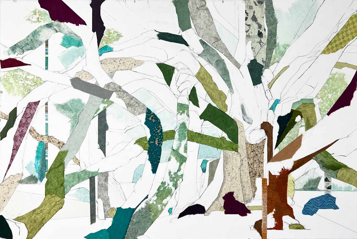Forest Undisclosed by Jill Lear 