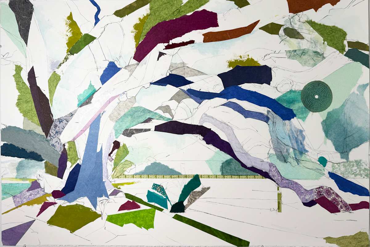 30° 41’ 39.5” N  91° 25’ 11.50” W  New Roads Oak VI by Jill Lear 