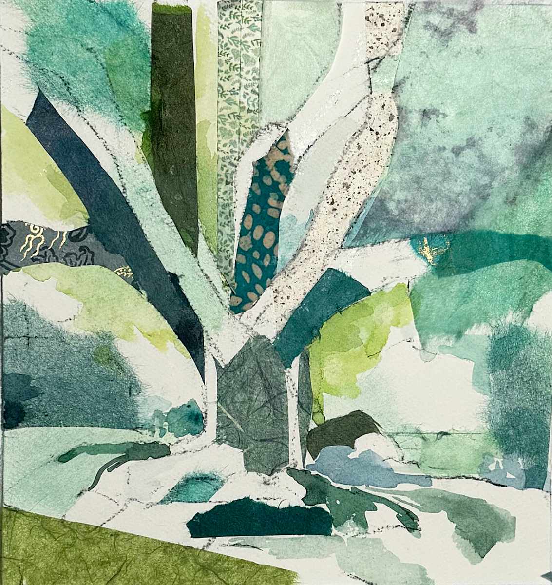 Beverly Oak Haiku by Jill Lear 