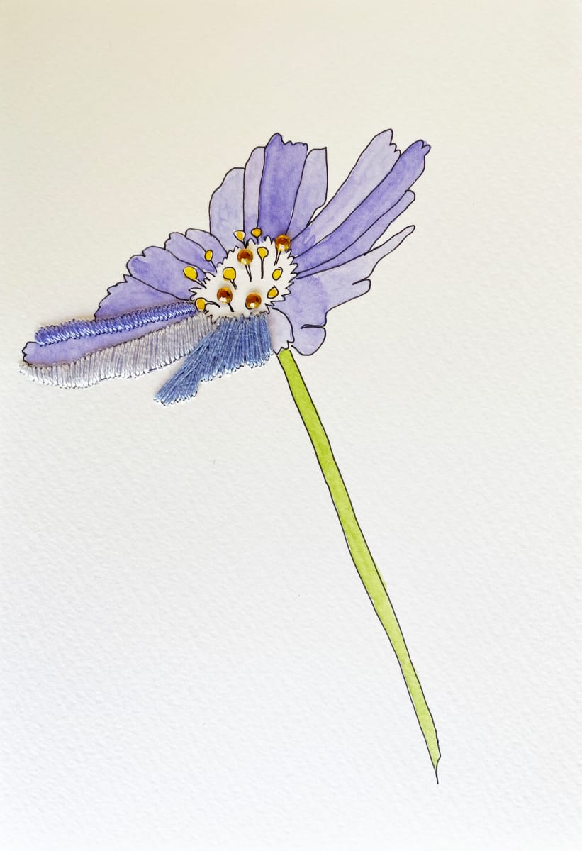 Periwinkle Cosmos I, Image 1.
