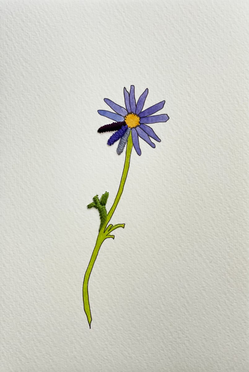 Periwinkle Flora II, Image 1.