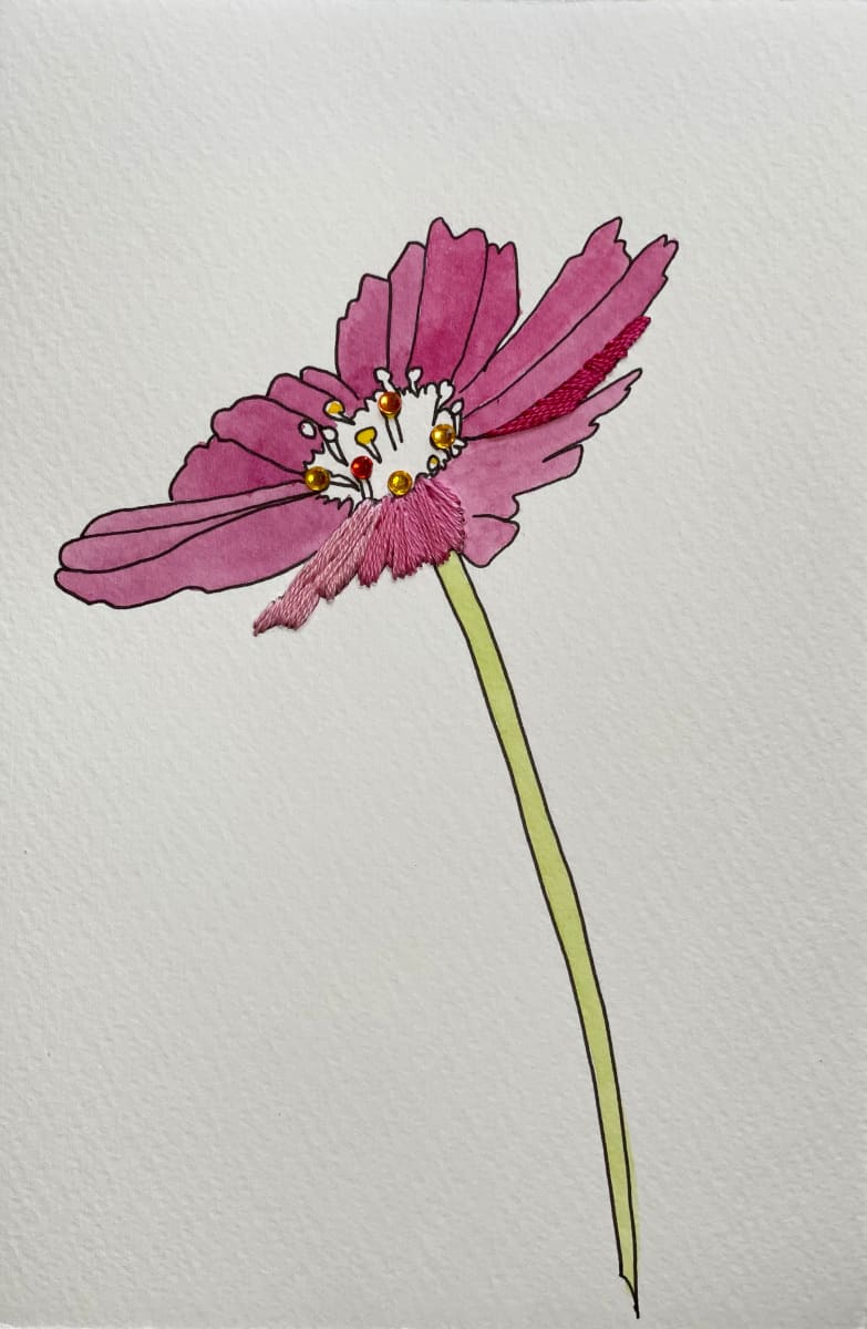 Pink Cosmos I 