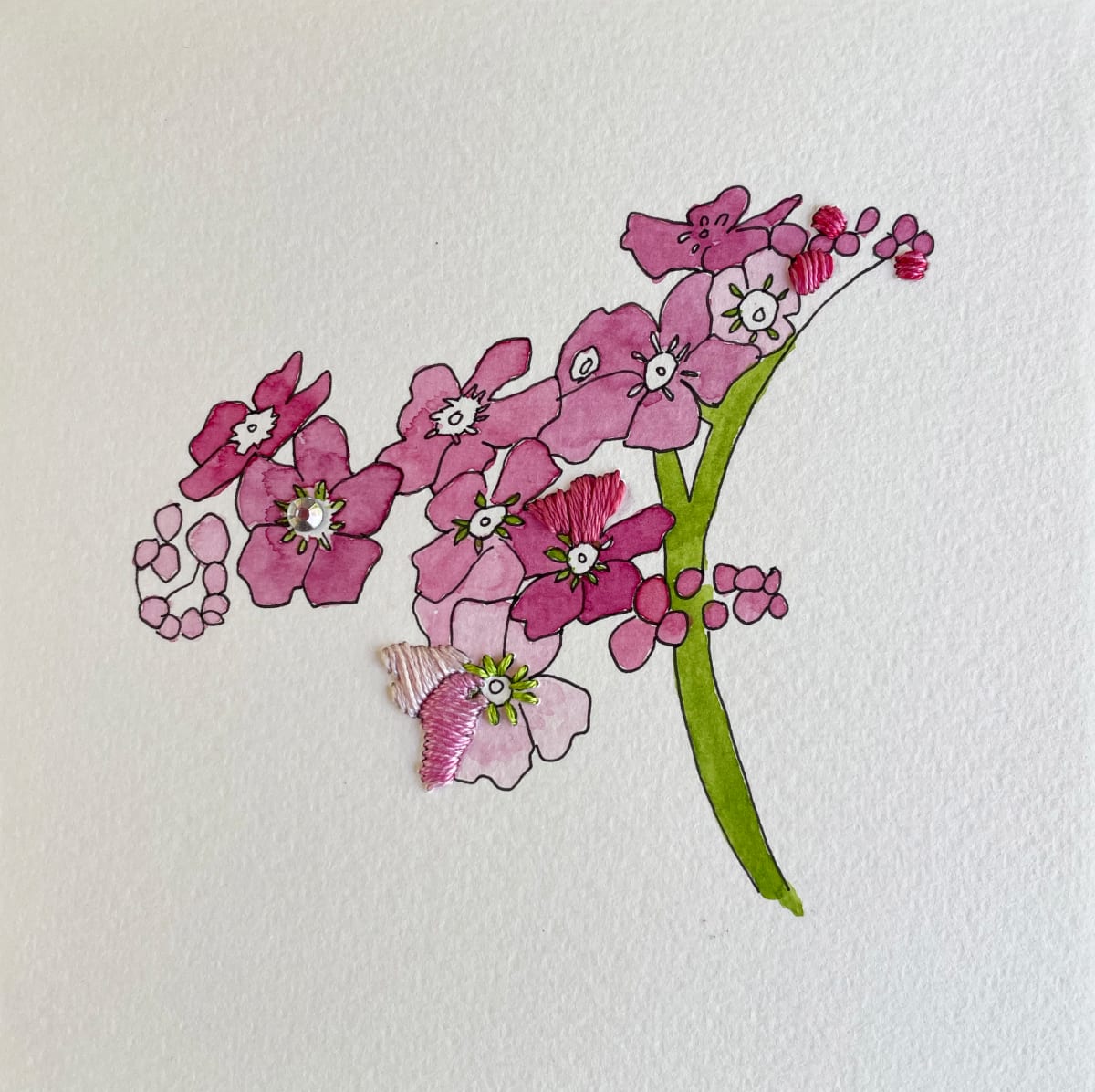 Pink Forget Me Not II 