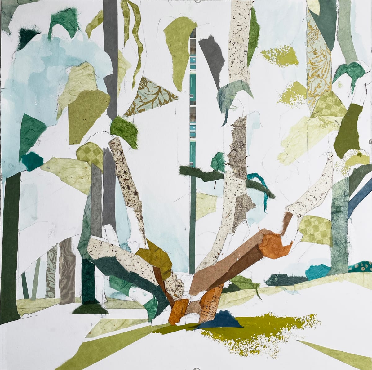Quercus III Falmouth by Jill Lear 
