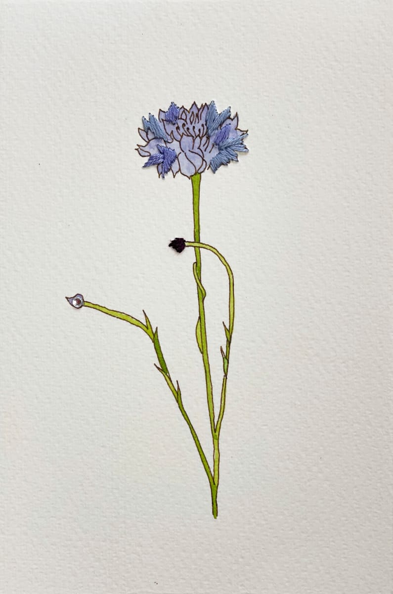 Thistle I, Image 1.