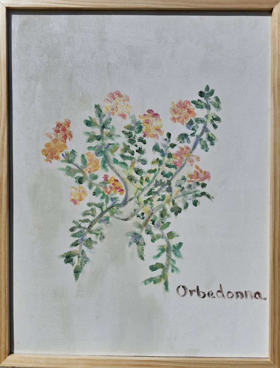 Lantana by Orbedonna 