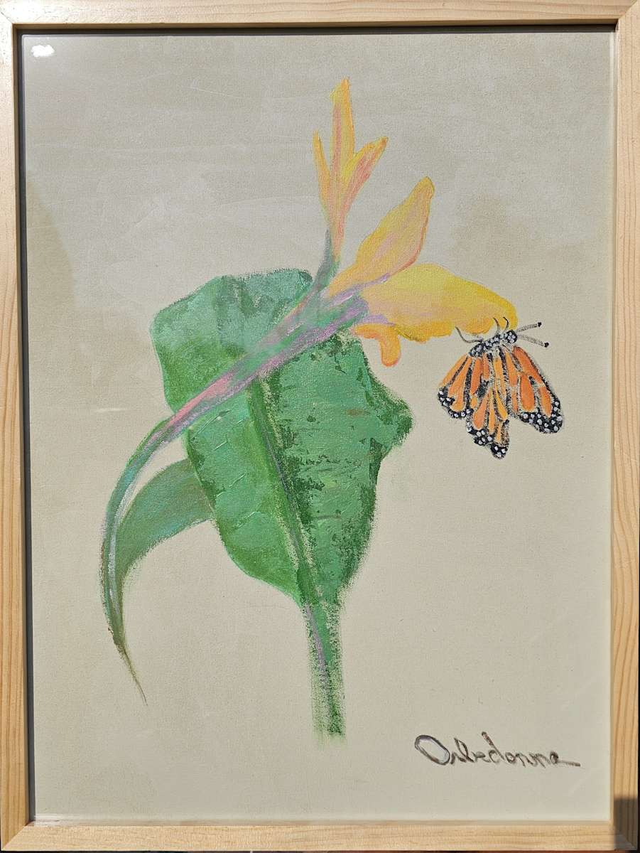 Canna and Butterfly by Orbedonna 
