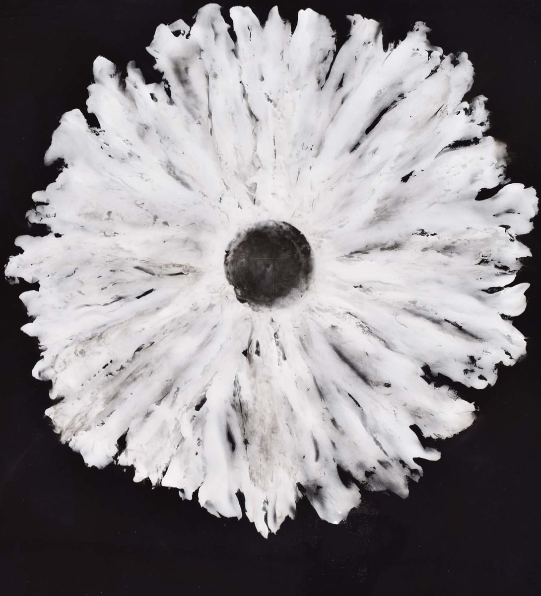 Mystical Flower Ebony by Orbedonna 