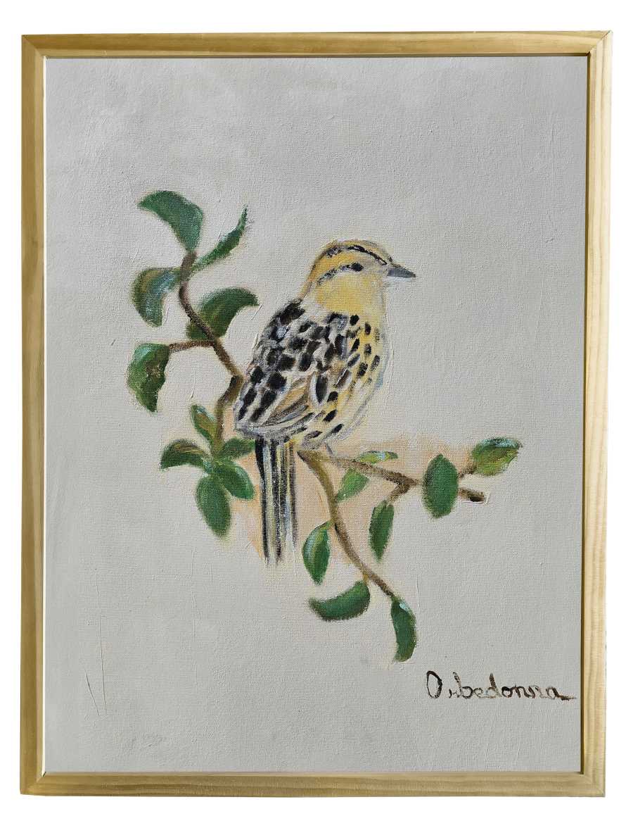 Sparrow On Camellia by Orbedonna 