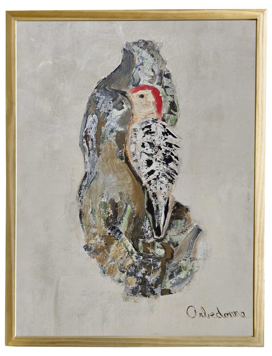 Woodpecker On Bark by Orbedonna 