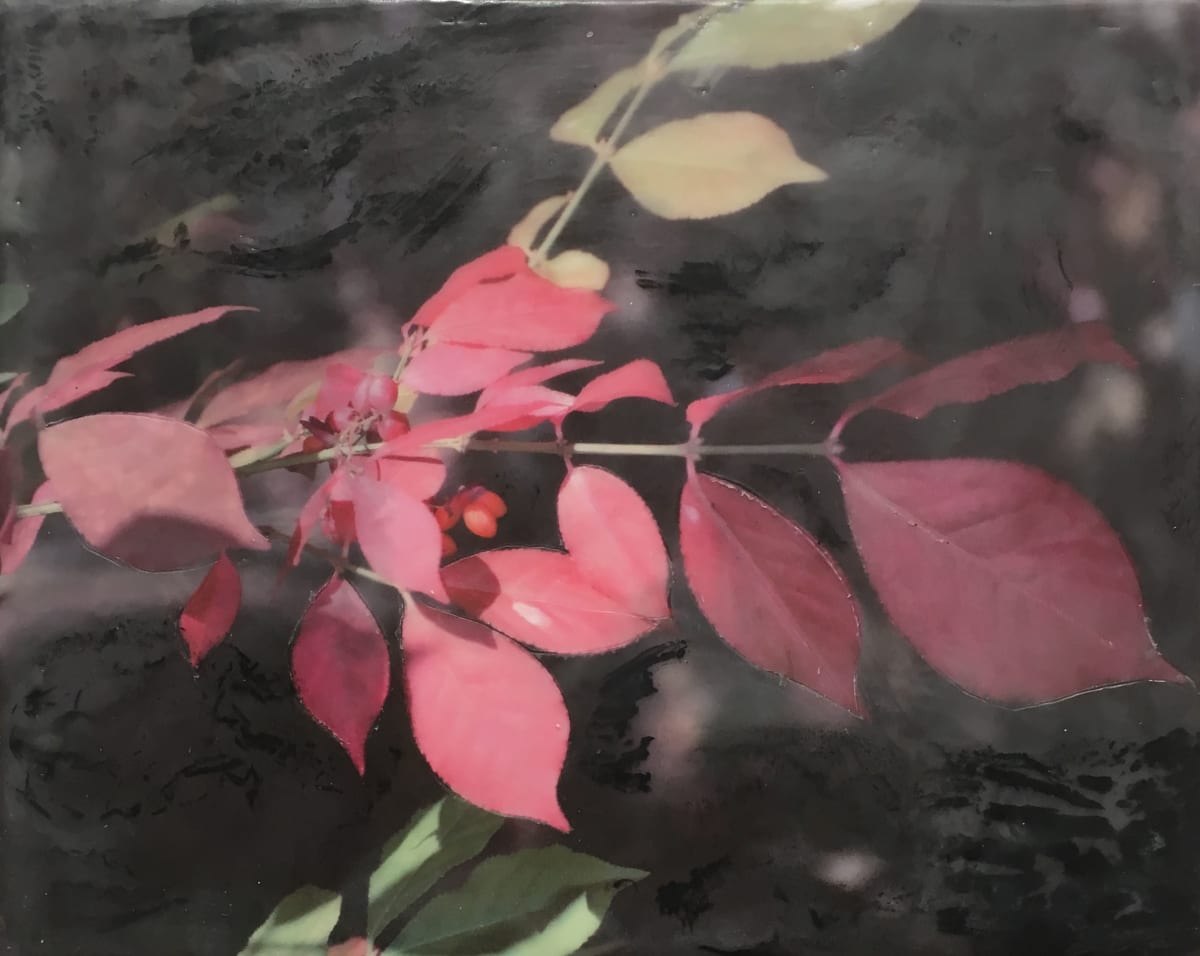 A Little Red by Kathie Collinson, Image 1.