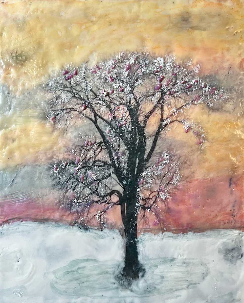 Caught Between Winter and Spring by Kathie Collinson  Image: Is it Spring yet? Caught Between Winter and Spring