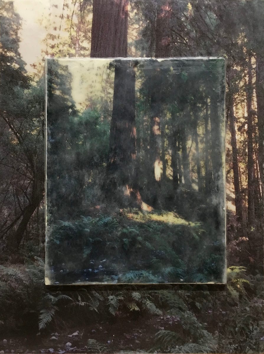 Double Morning Light by Kathie Collinson, Image 1.