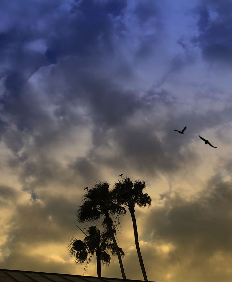 Birds & Palms by Kathie Collinson, Image 1.