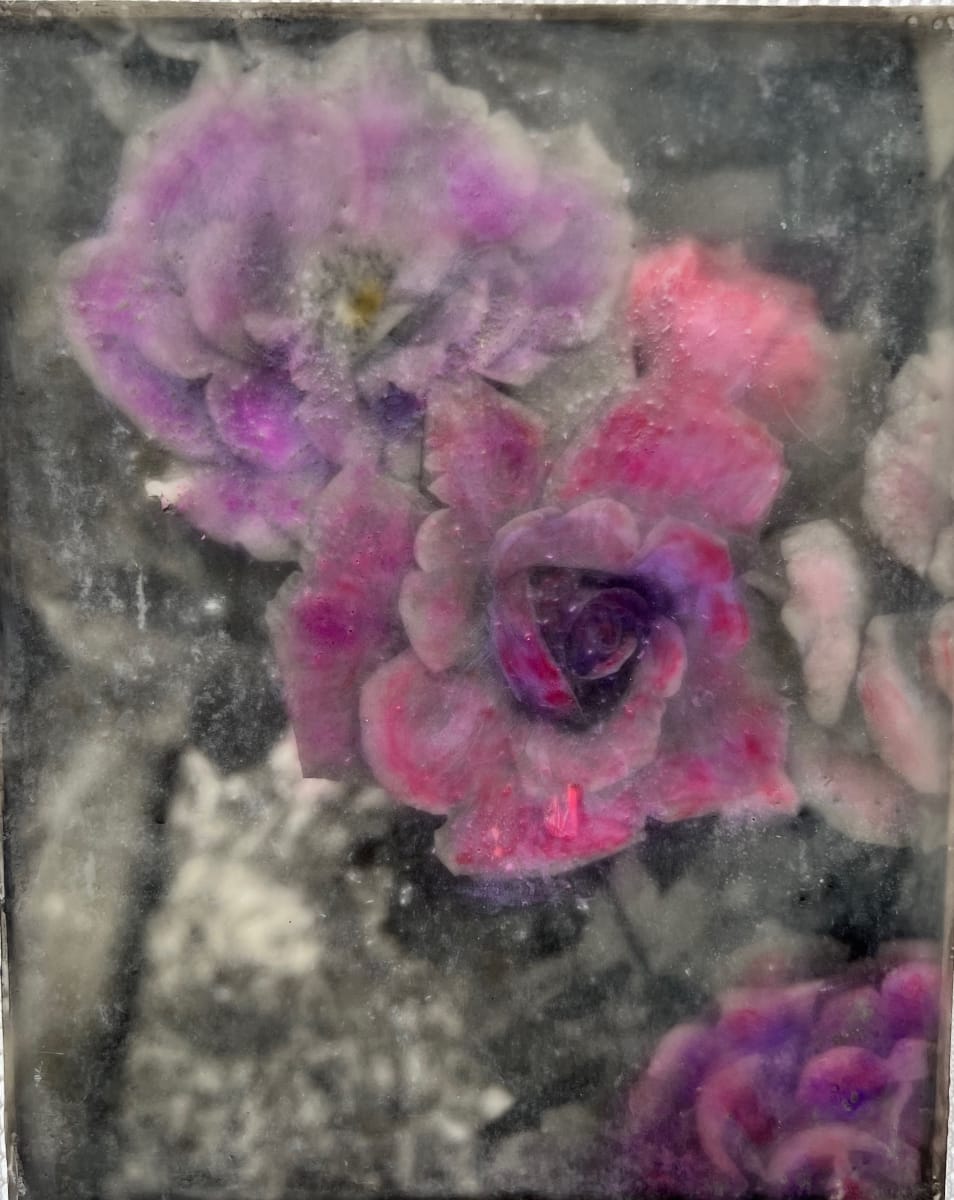 Dual Identity #4 - Roses by Kathie Collinson, Image 1.