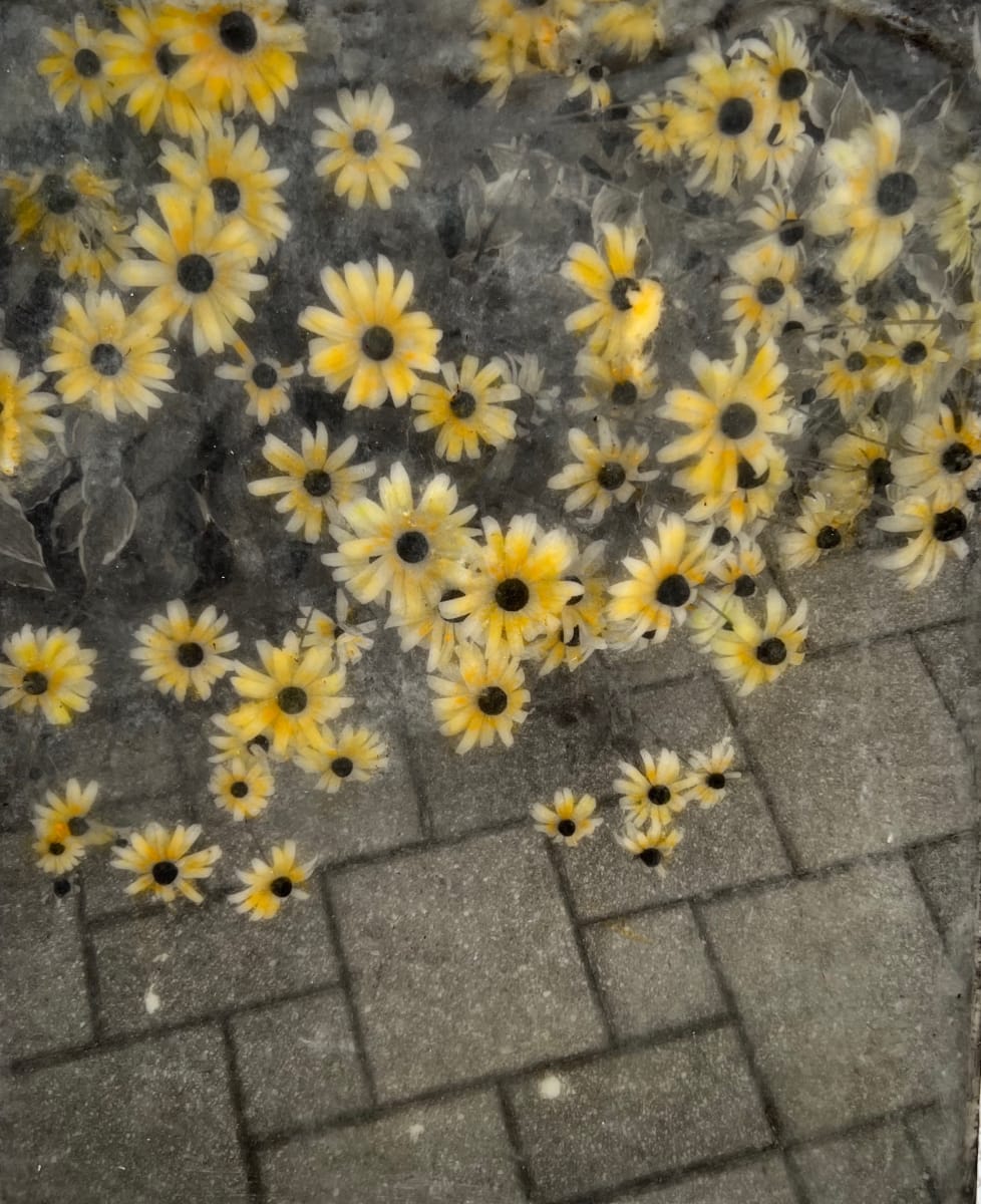 Dual Identity #5 - Daisies, Image 1.