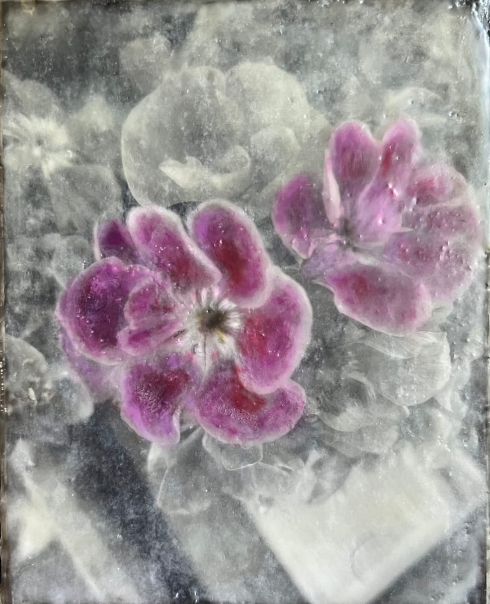 Dual Identity #3 - Geranium by Kathie Collinson  Image: Geranium - Dual Identity #3 