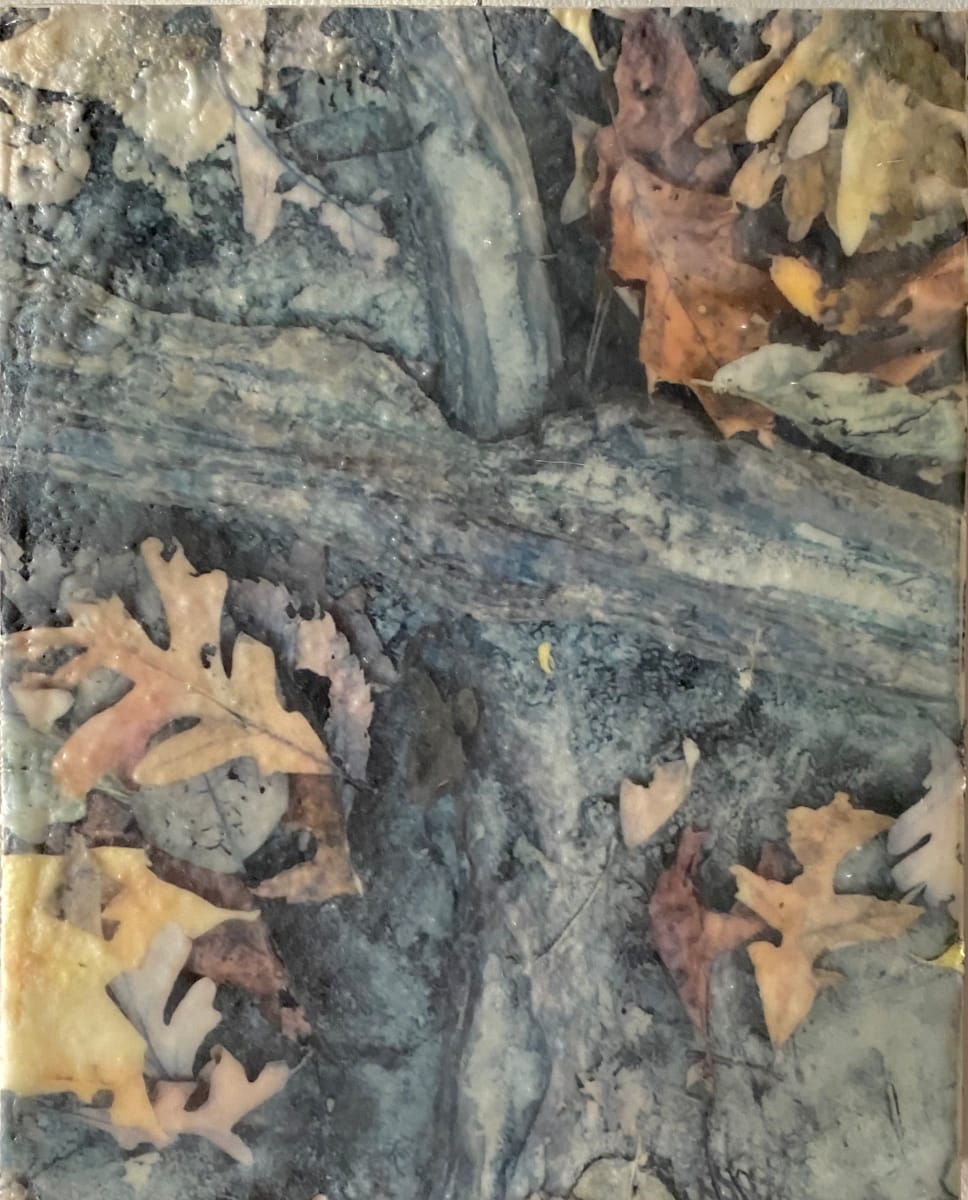 Fall Treasure, Image 1.