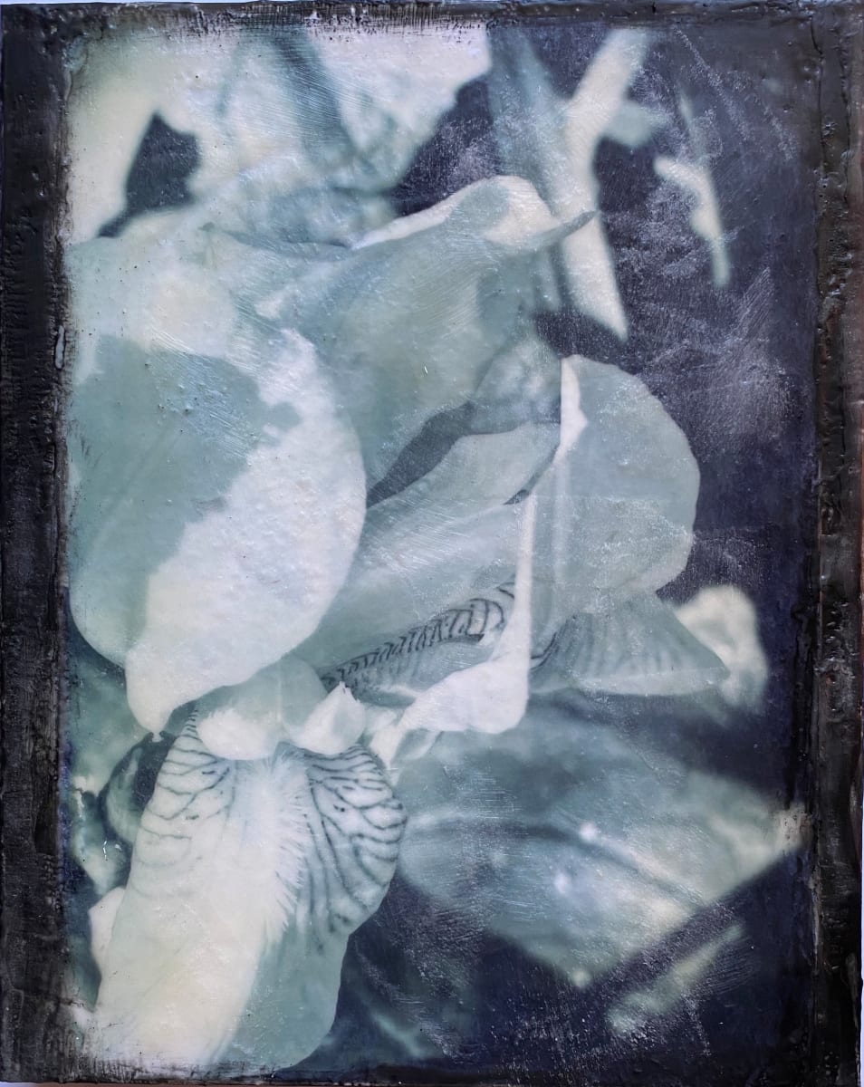 Black White Iris, Image 1.
