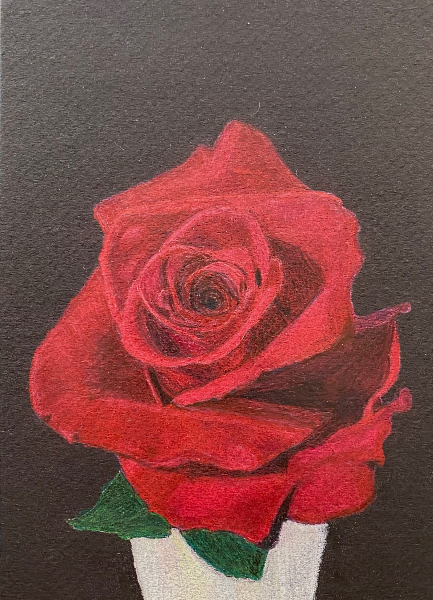 Beauty Found - Rose, Image 2.
