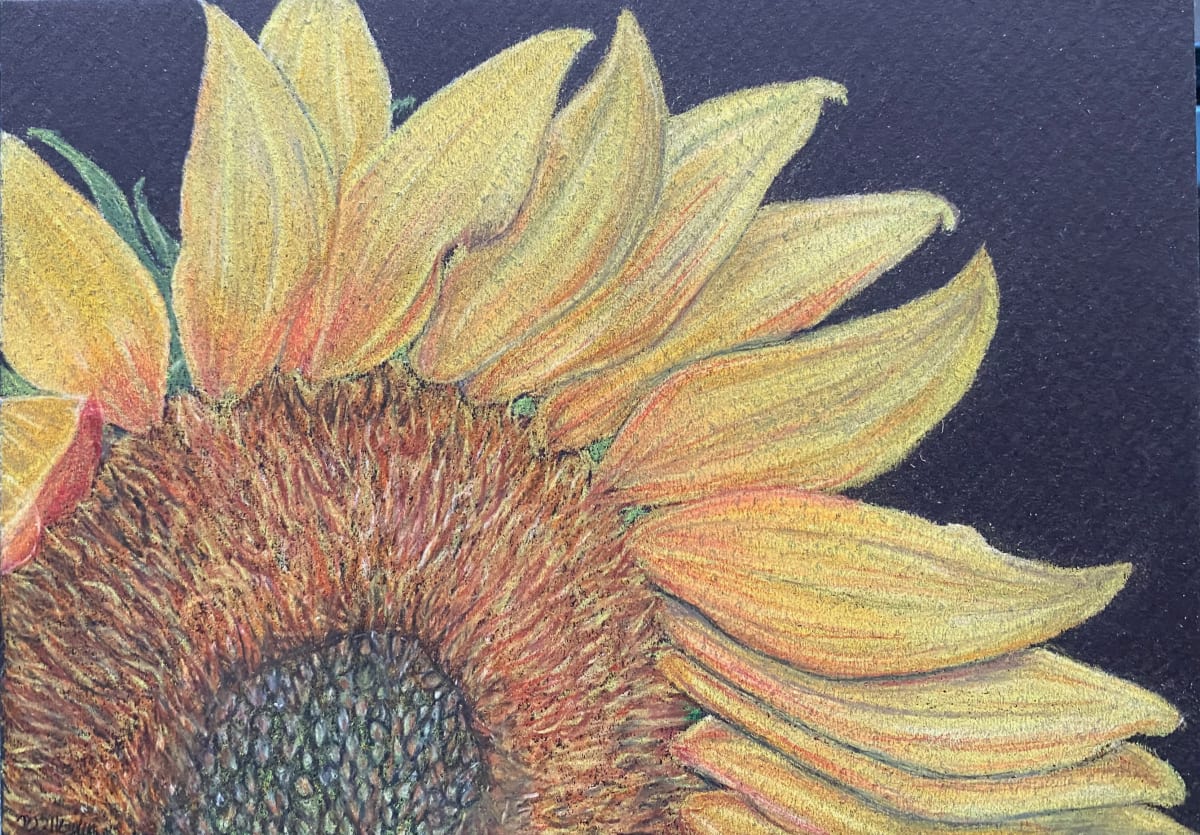 Beauty Found - Sunflower 