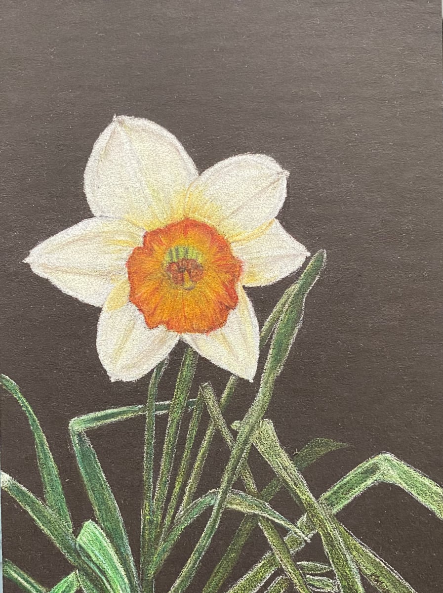 Beauty Found - Daffodil by Kathie Collinson, Image 2.