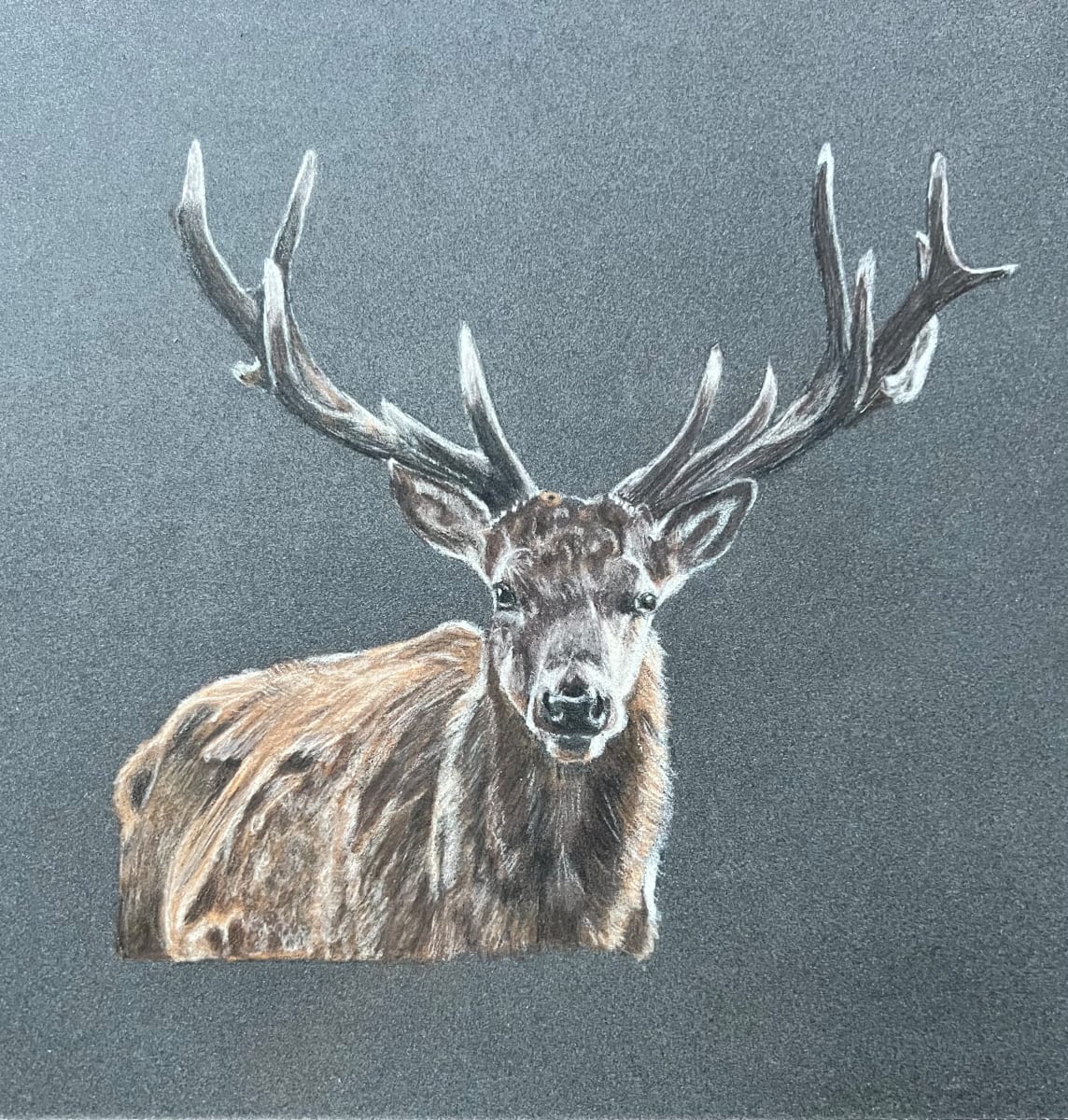 Silent Watcher by Kathie Collinson, Image 1.