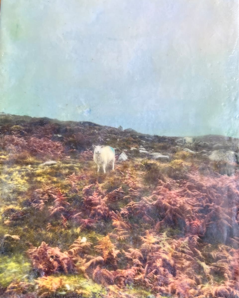 Irish Memories #1 by Kathie Collinson, Image 1.