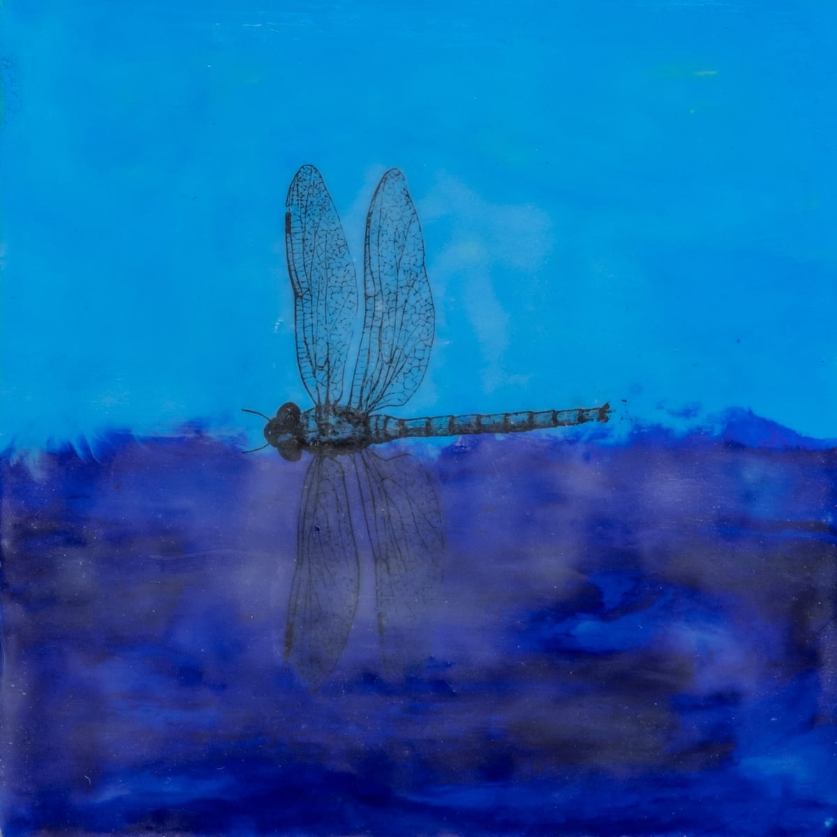Dragonfly Sky by Kathie Collinson  Image: Dragonfly flying between water and sky