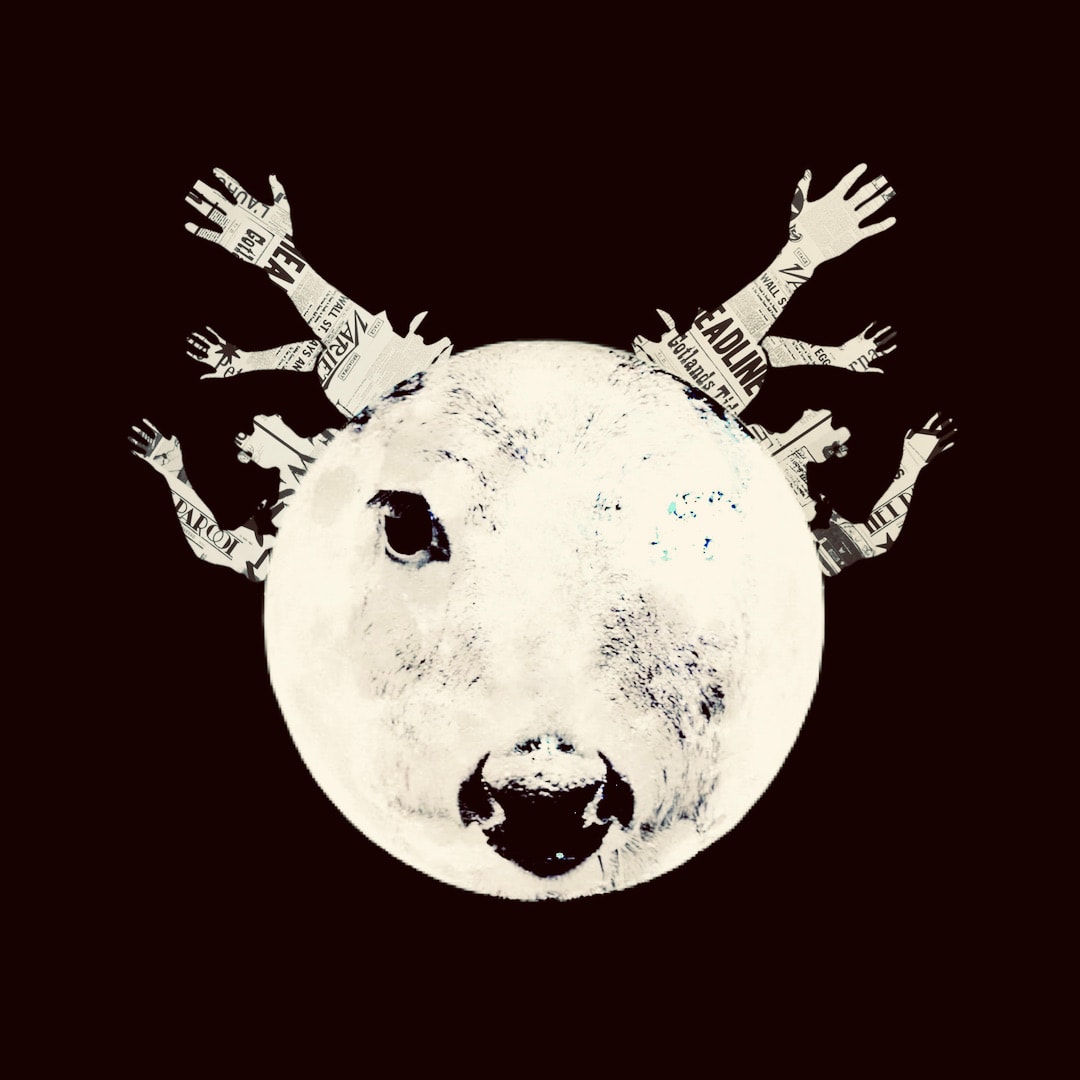 Beseech, Image 1.