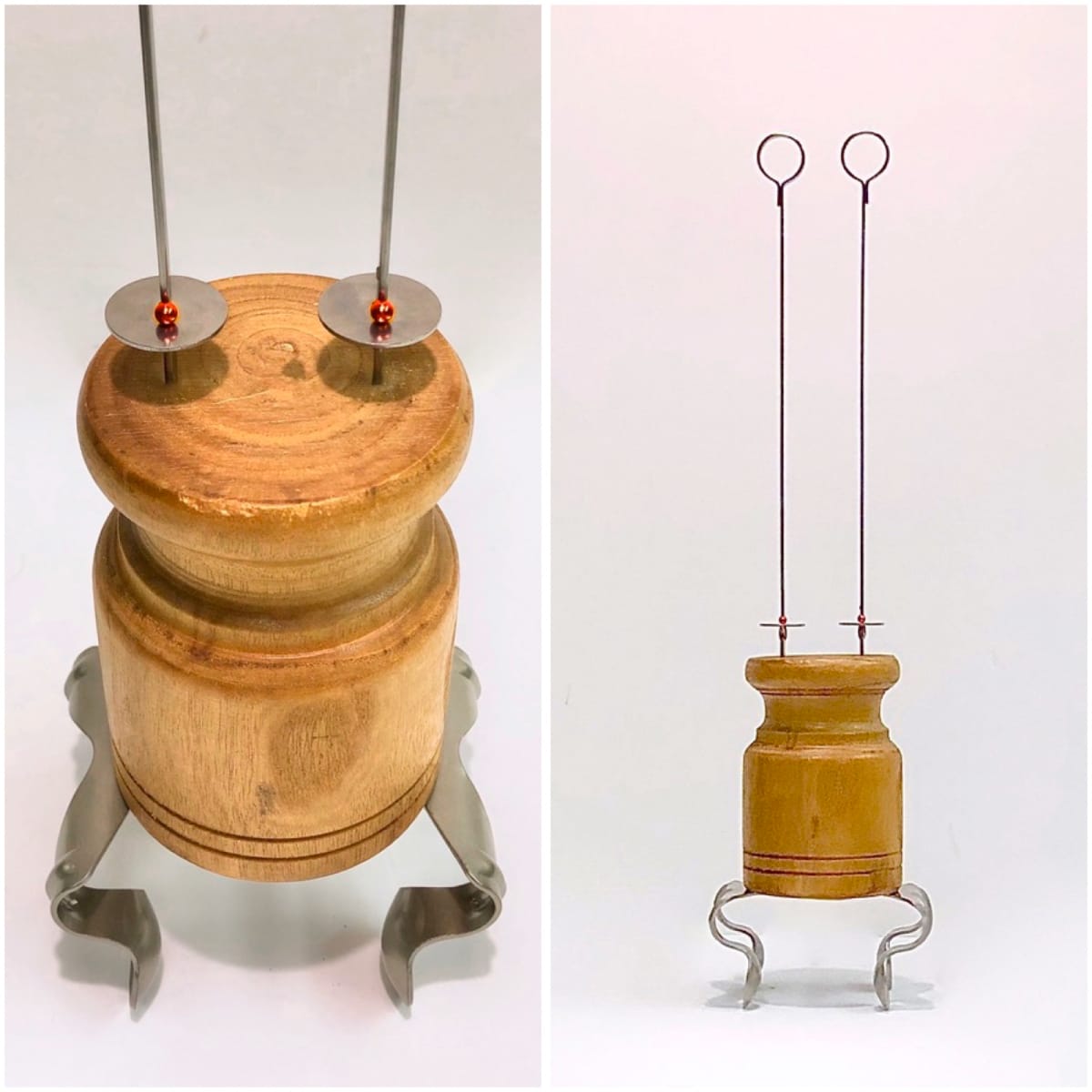 The Watchful Froglet 