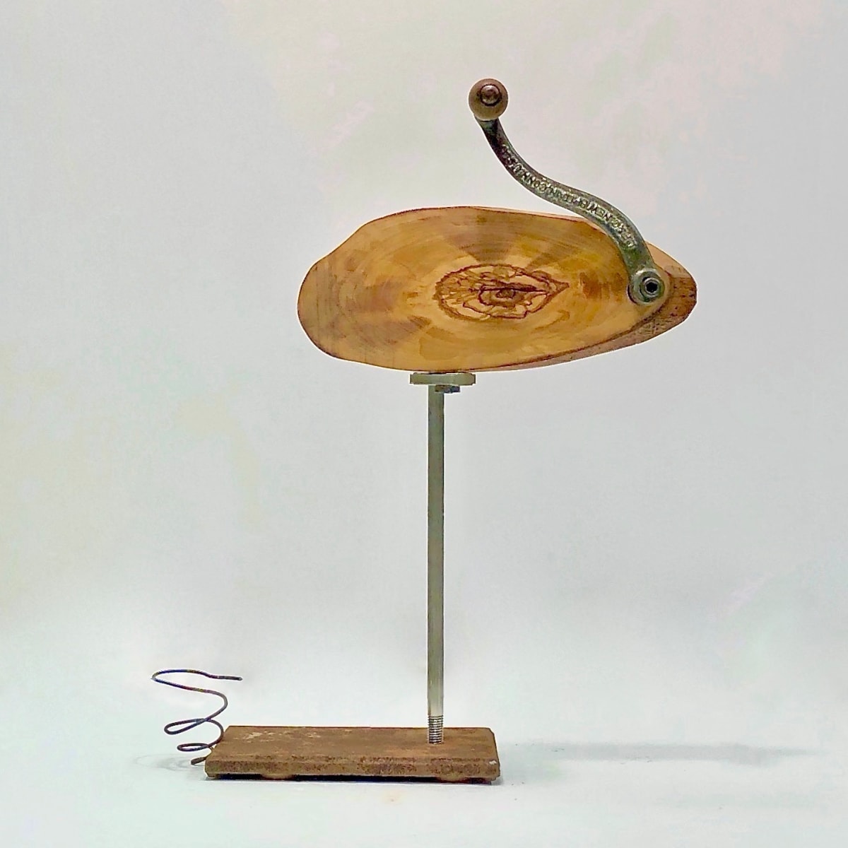 Zooid, Image 1.