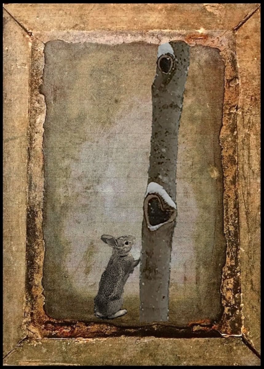 Tender Curiosity, Image 2.
