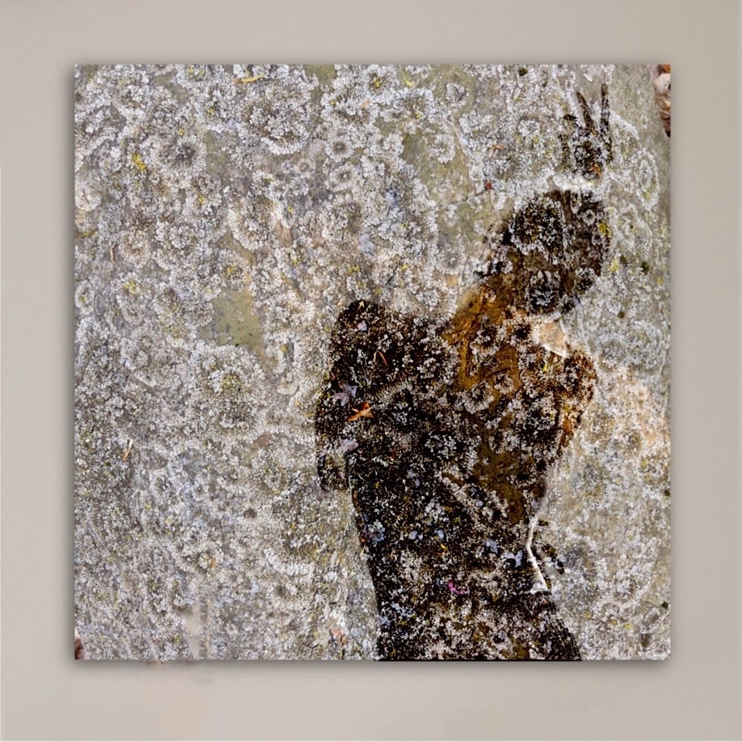 Greater Yin by Thia Rice, Image 1.