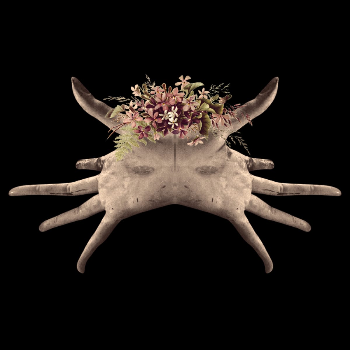 Fascinator, Image 2.