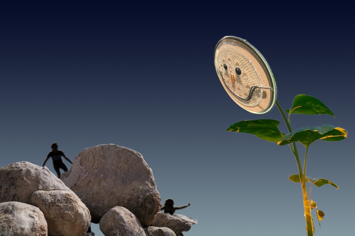 CV-9 : Is It Spring Yet? by Thia Rice 