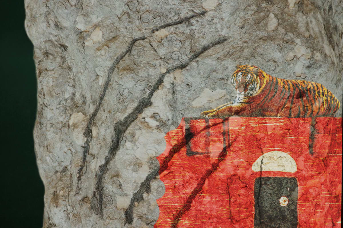 CV-11 : The Tiger Waits 