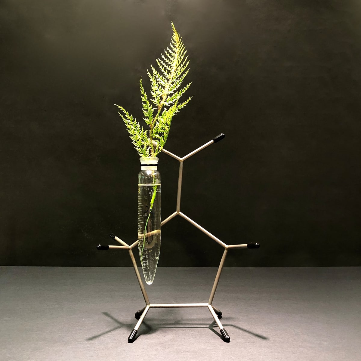 Balance, Image 1.