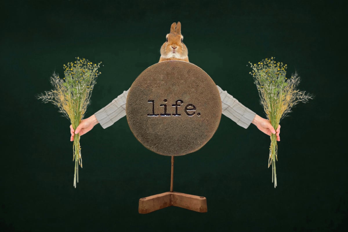 Message Series # 6, Image 1.