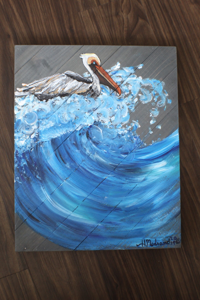 Pelican Drift by Heather Medrano 