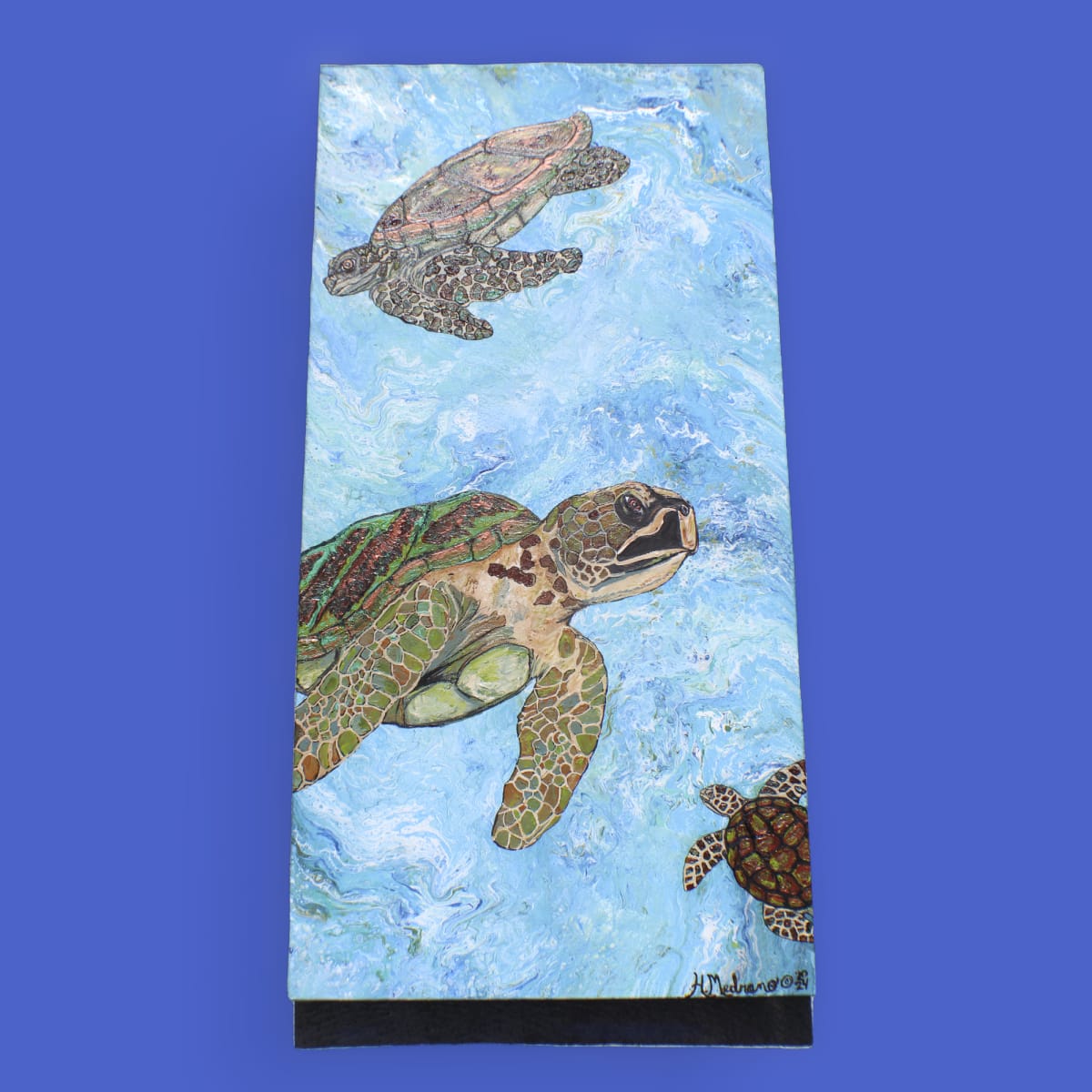 The Green Sea Turtle by Heather Medrano 