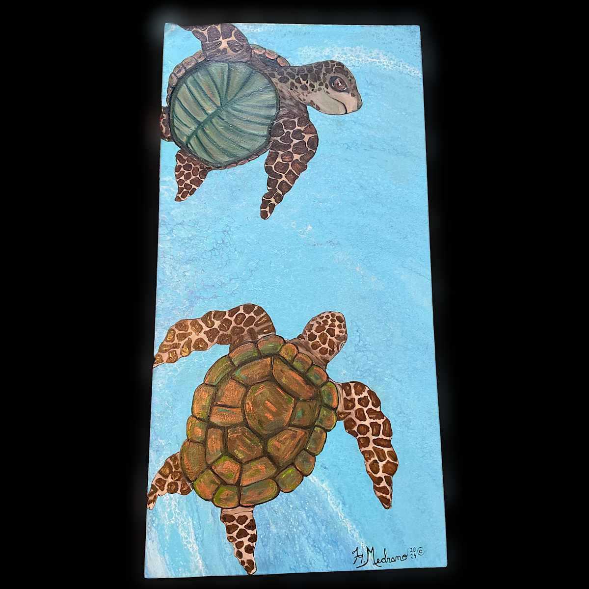 Turtle  Flight by Heather Medrano 