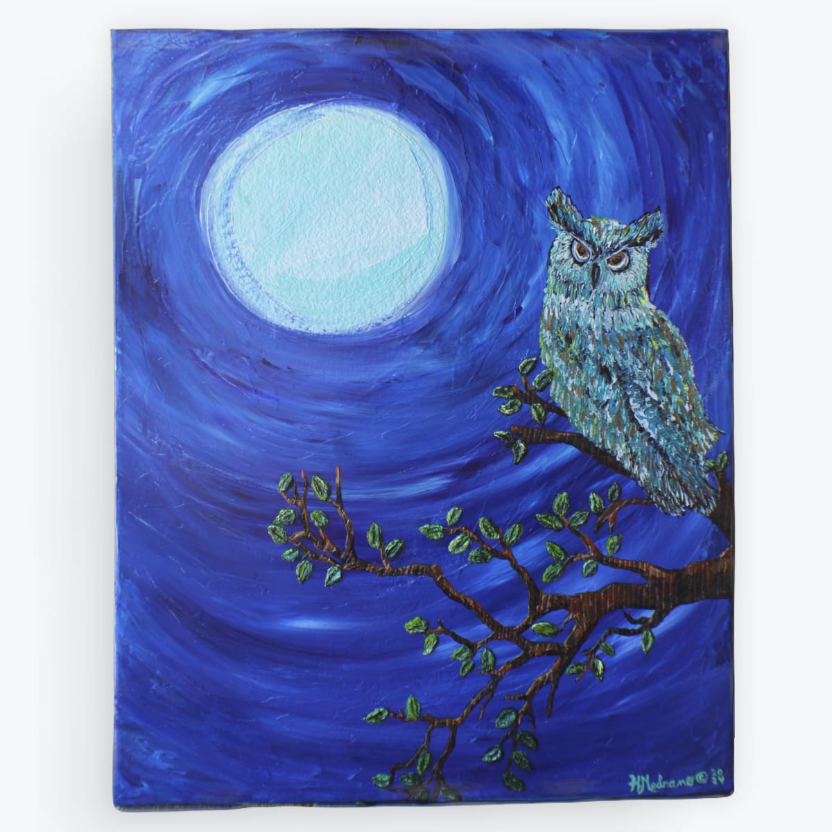 The Moons Keeper by Heather Medrano 