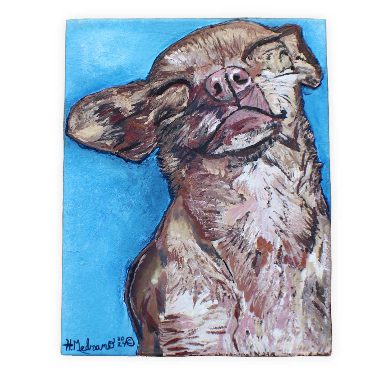 Rosie by Heather Medrano 